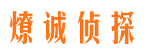 涧西市私家侦探